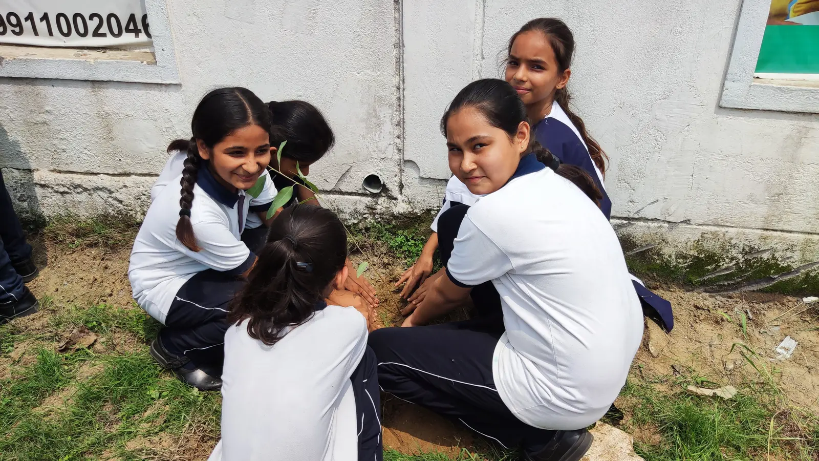 Four girls kneeling to press soil around a newly planted sapling by the wall