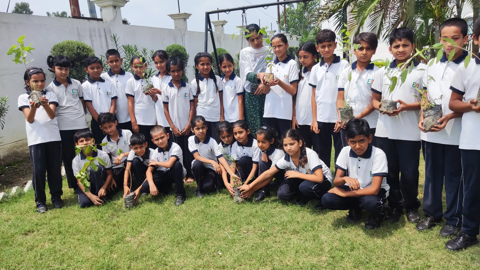 Another class lined up on the lawn, each student holding a sapling in a bag