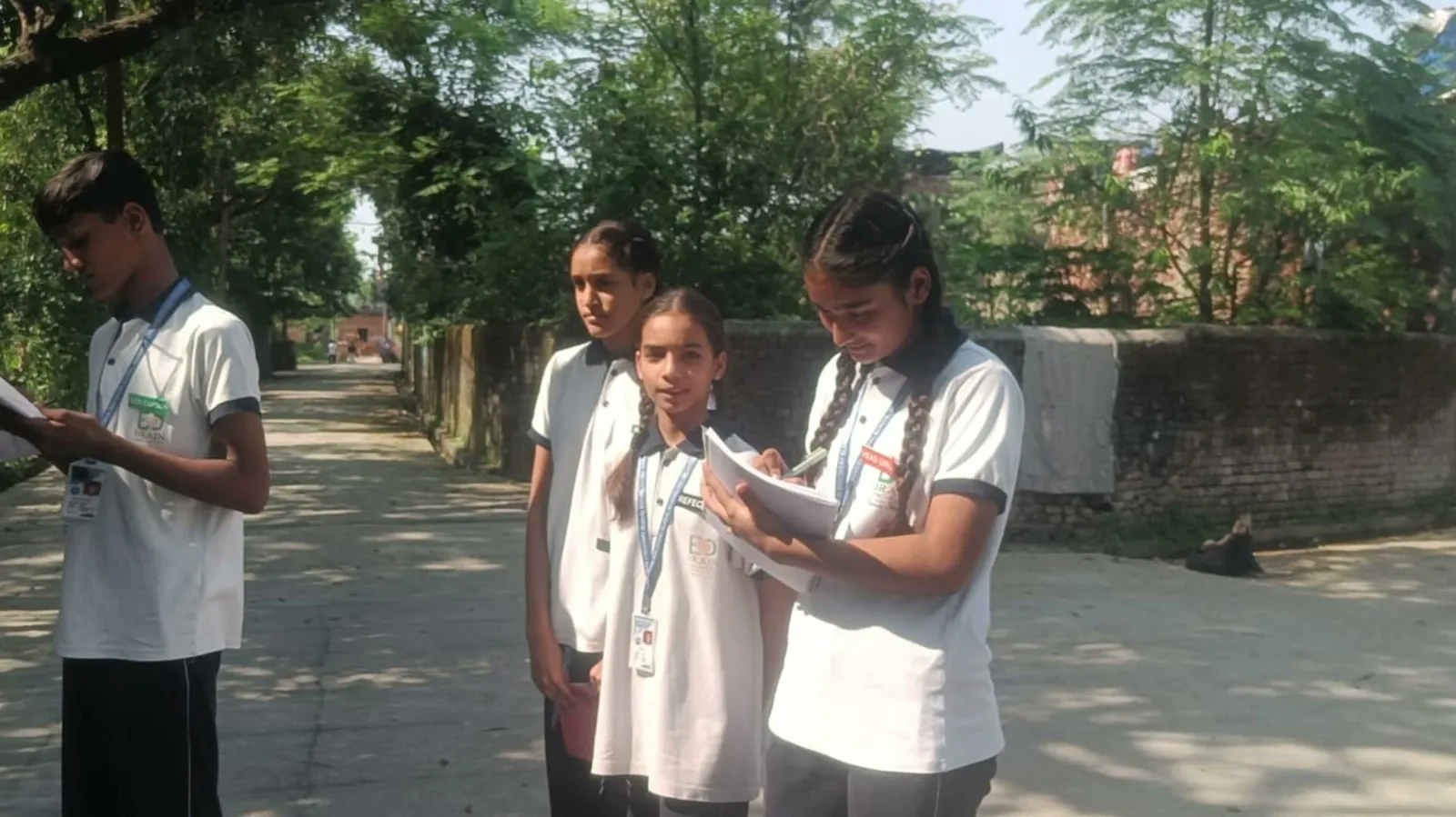 Students on a tree-lined road reading through their survey forms
